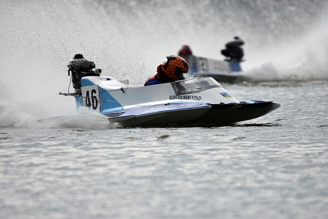 作为德国国 作为德国国