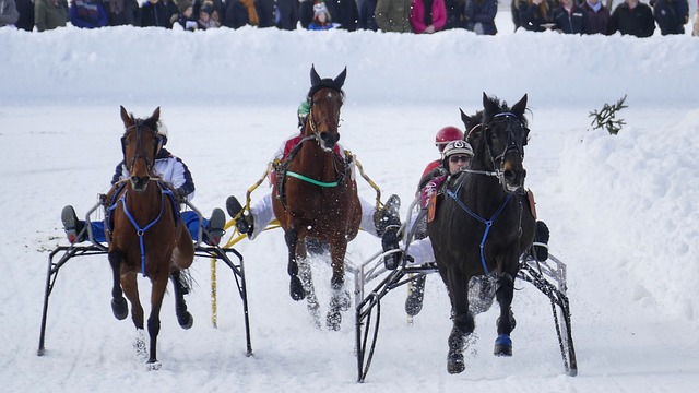 还能闻到花 还能闻到花