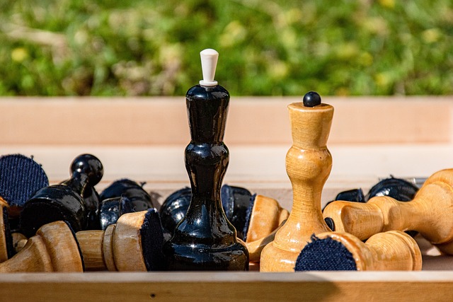 增加了分数 增加了分数