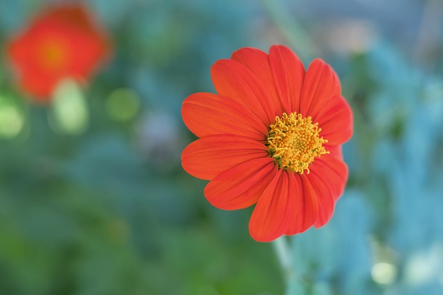 怀柔区体育局开展节前体育场所安全检查.