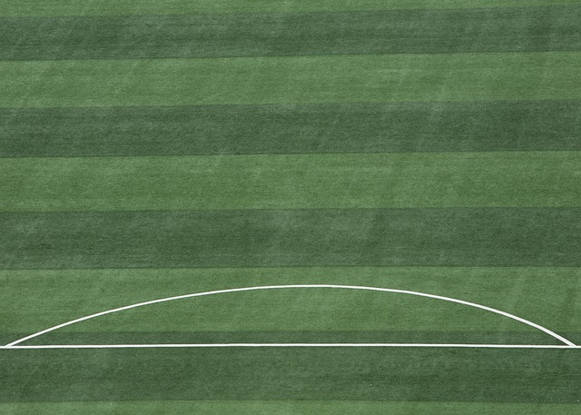 凯利：对欧冠出局感到愤怒和失望，我们知道怎样做才能实现目标.