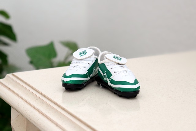 的关键所在 的关键所在