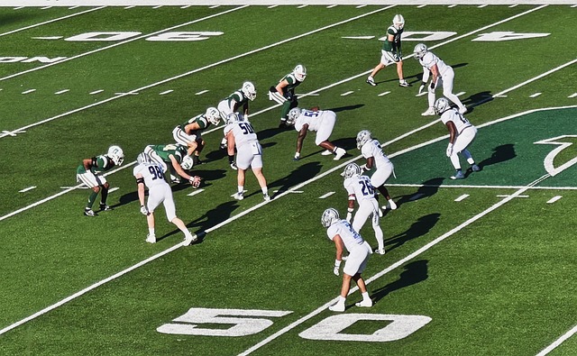 合肥市出台 合肥市出台