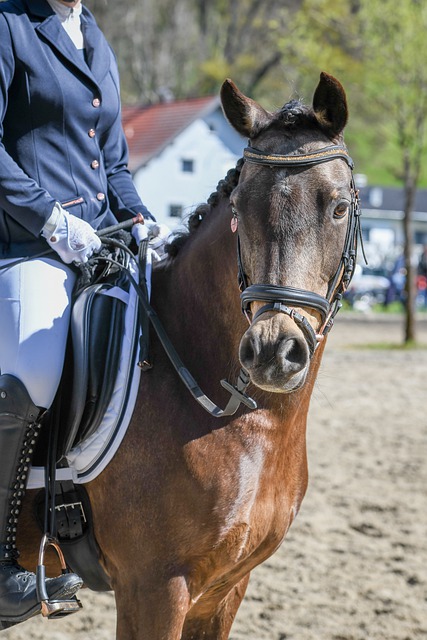 前申花外援隨國民競技獲得哥倫比亞聯賽冠軍.